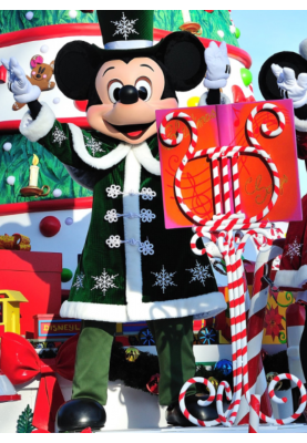 Crăciun MAGIC la Disneyland Paris! Ofertă de iarnă — 35 % REDUCERE!